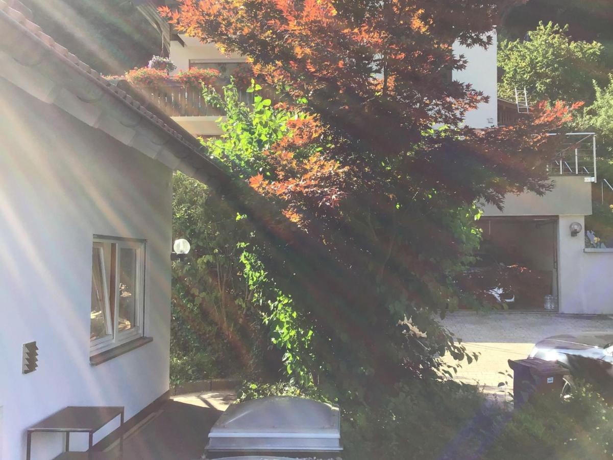 Ferienwohnung Am Eiberg Bad Wildbad Exterior foto